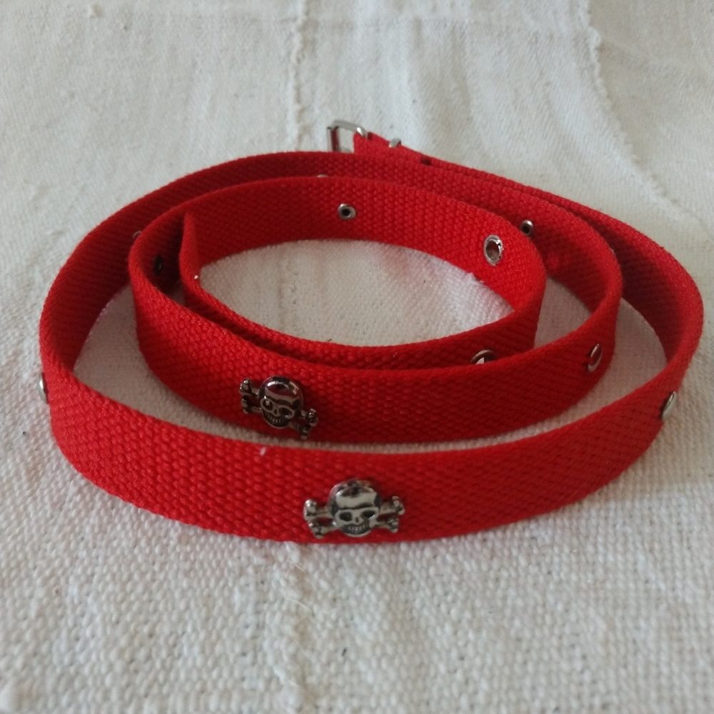Skull and crossbones belt